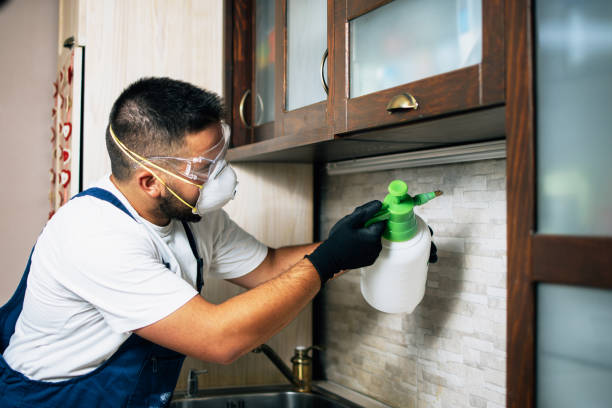 Best Pest Removal Services  in Auburn, AL