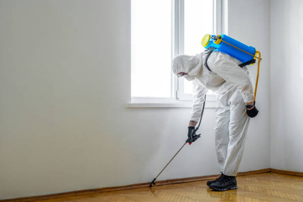 Best Flea Control Services  in Auburn, AL