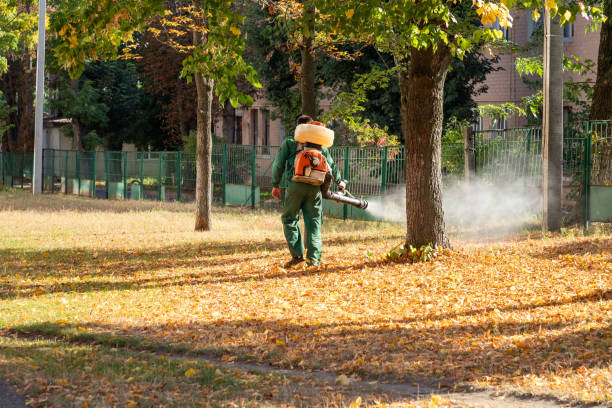 Best Pest Inspection Near Me  in Auburn, AL